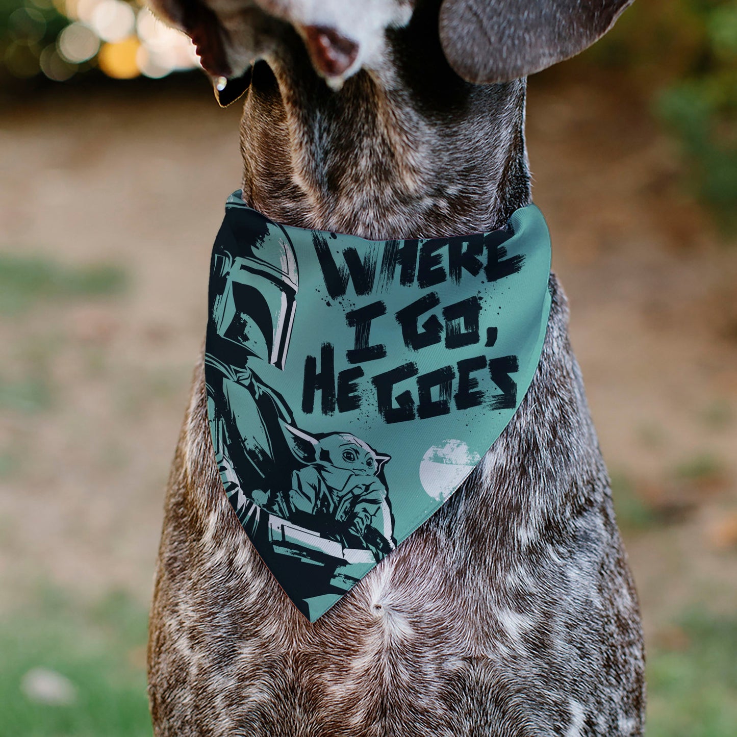 Pet Bandana - Star Wars The Madalorian and Grogu WHERE HE GOES I GO Pose Blue/Black