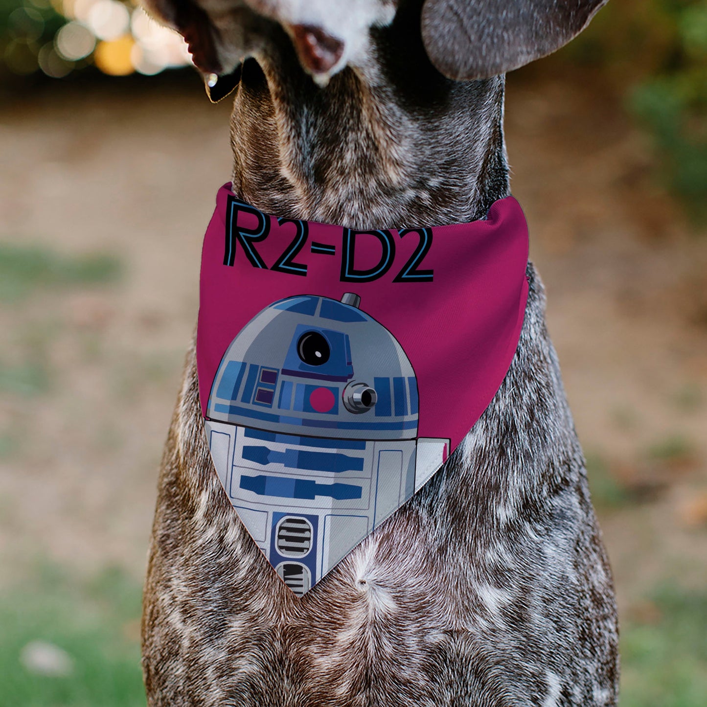 Pet Bandana - Star Wars R2-D2 Text and Pop Art Pose Red/Black/Blue