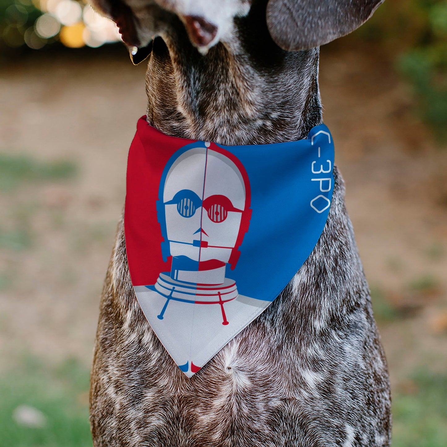 Pet Bandana - Star Wars DROID C-3PO Text and Pop Art Pose Red/Blue/White