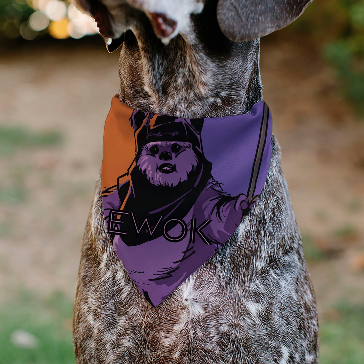 Pet Bandana - Star Wars EWOK Text and Wicket Pop Art Pose Orange/Purples/Black