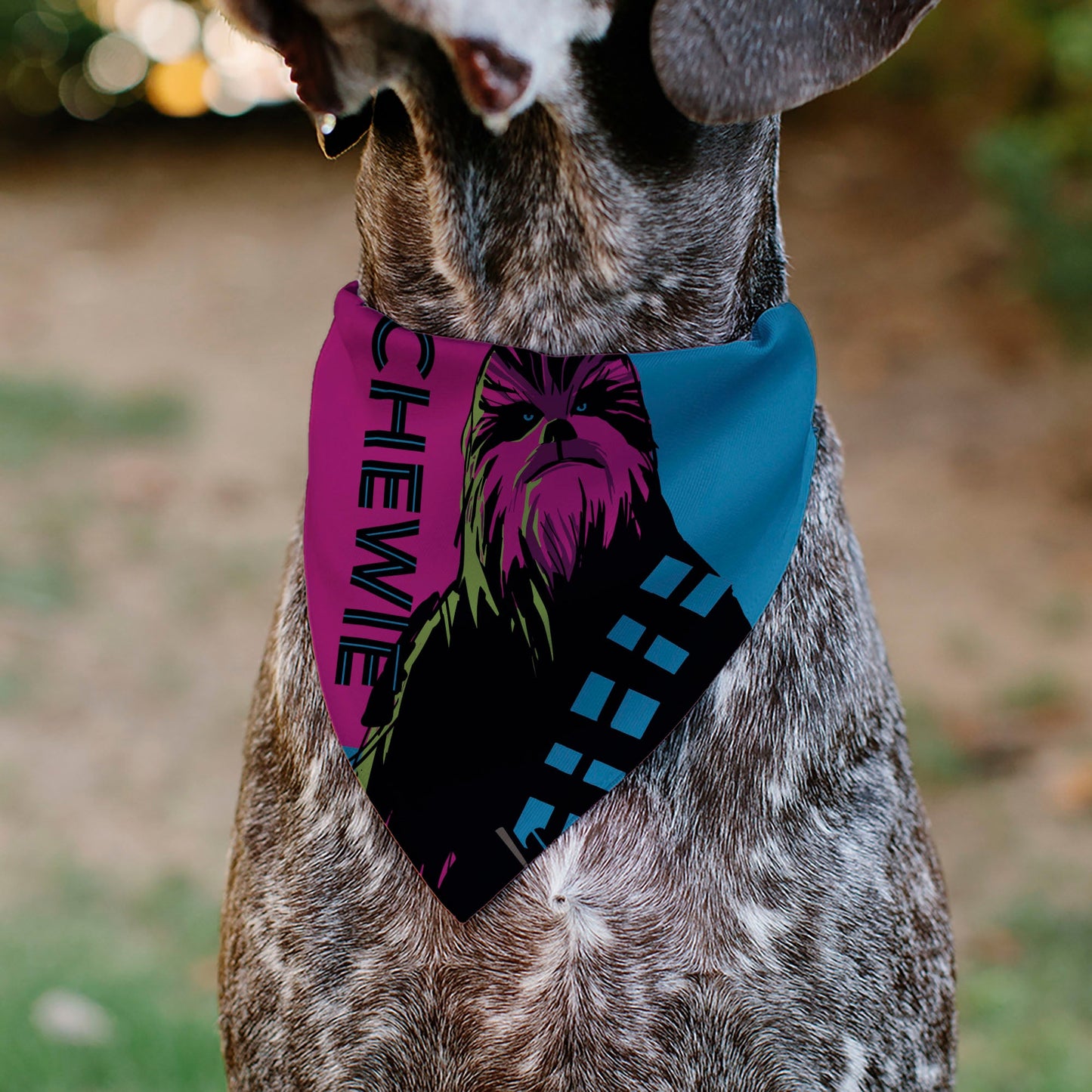 Pet Bandana - Star Wars CHEWIE Text and Chewbacca Pop Art Pose Red/Blue/Black