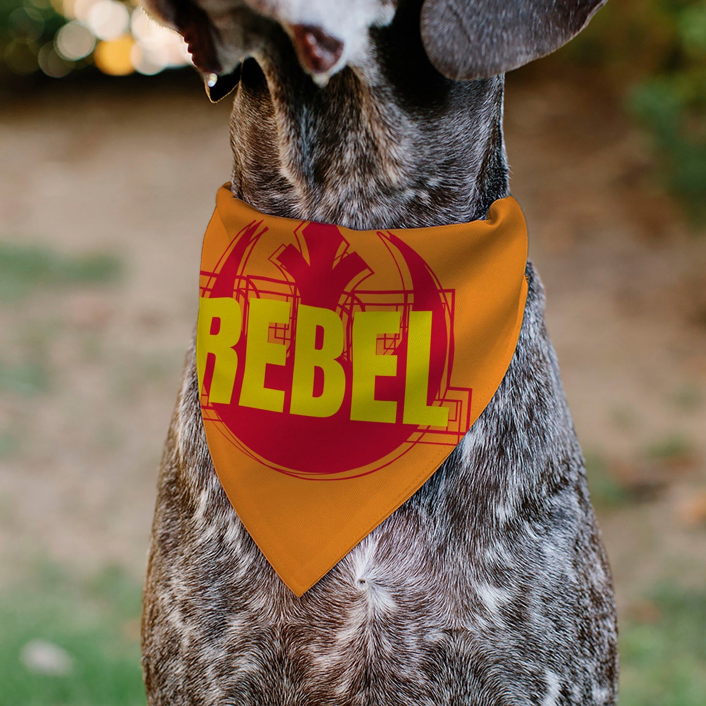 Pet Bandana - Star Wars REBEL Text and Rebel Alliance Insignia Orange/Red/Yellow