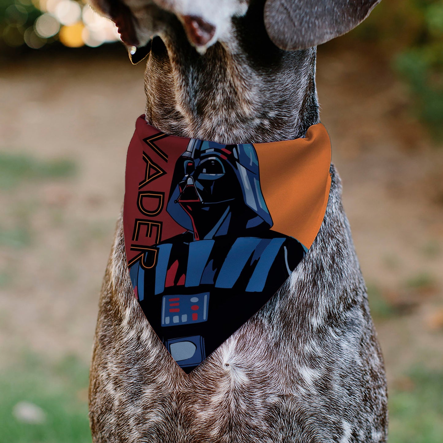 Pet Bandana - Star Wars VADER Text and Pop Art Pose Red/Orange/Black