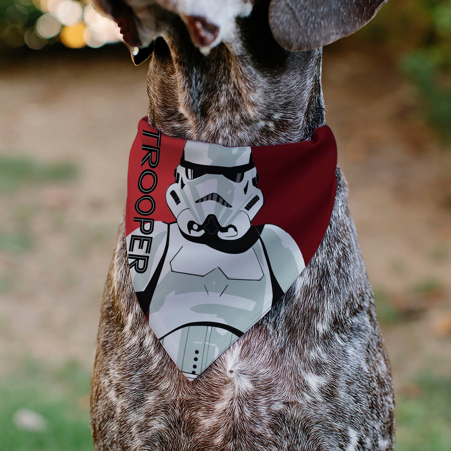 Pet Bandana - Star Wars TROOPER Text and Stormtrooper Pop Art Pose Reds/Black