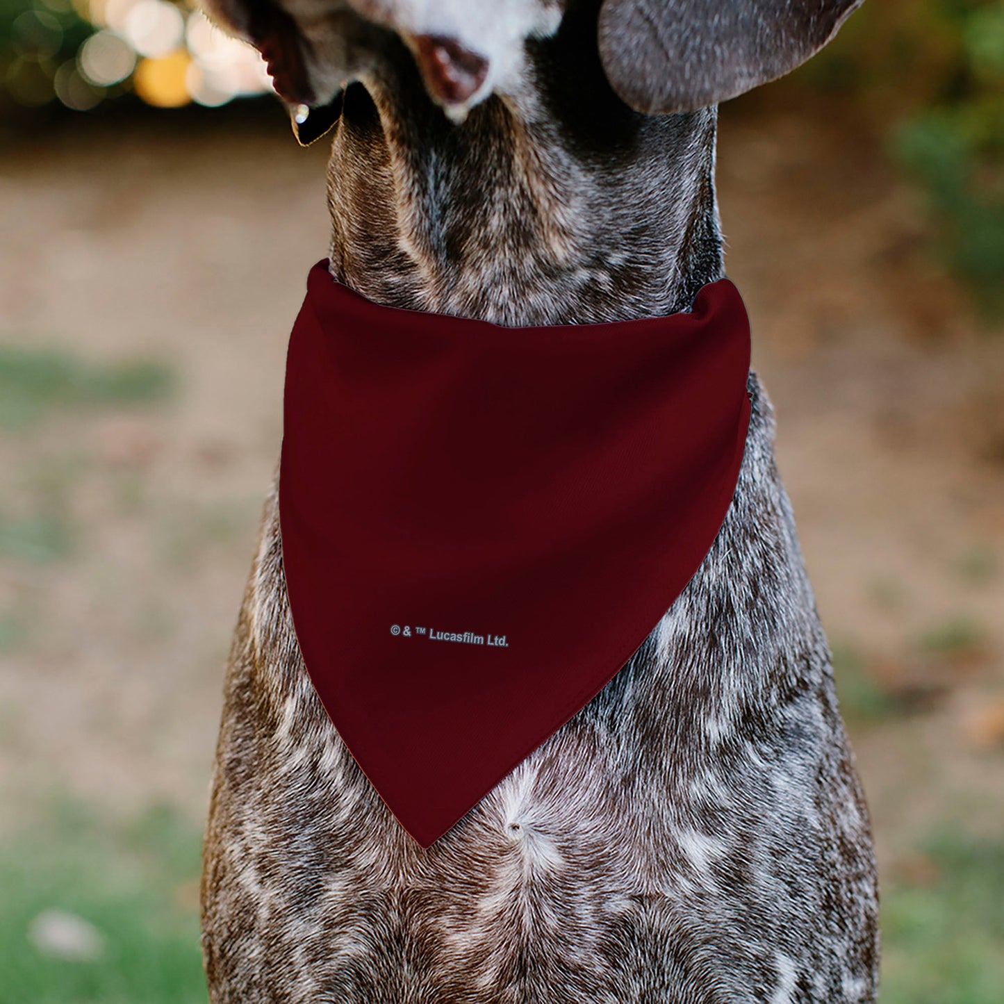 Pet Bandana - Star Wars TROOPER Text and Stormtrooper Pop Art Pose Reds/Black