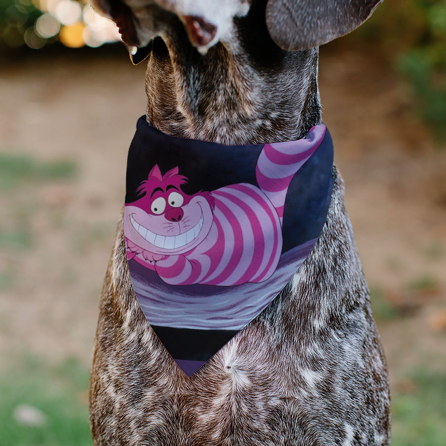 Pet Bandana - Alice in Wonderland Cheshire Cat Smiling Pose