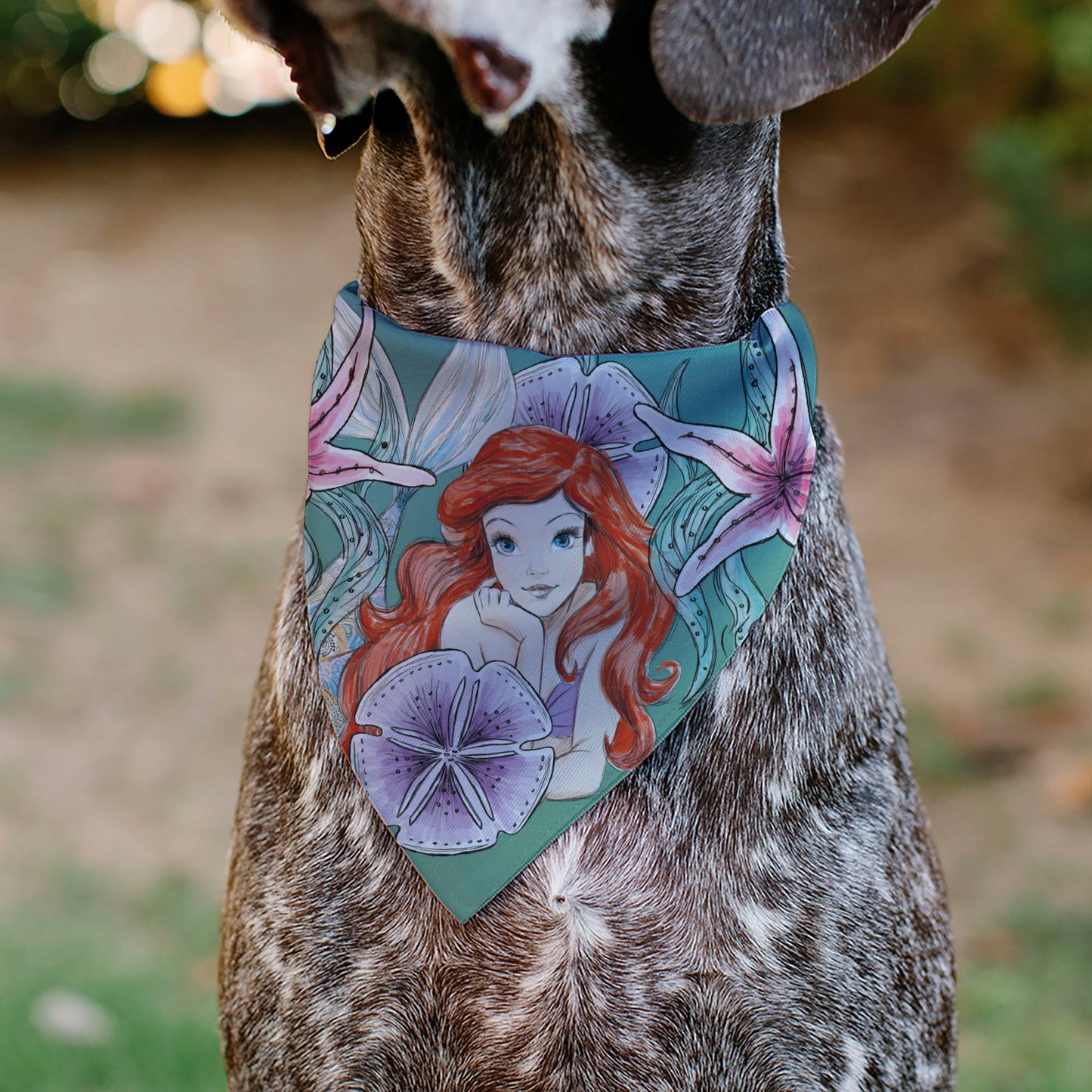 Pet Bandana - The Little Mermaid Ariel Pose and Shells Sketch