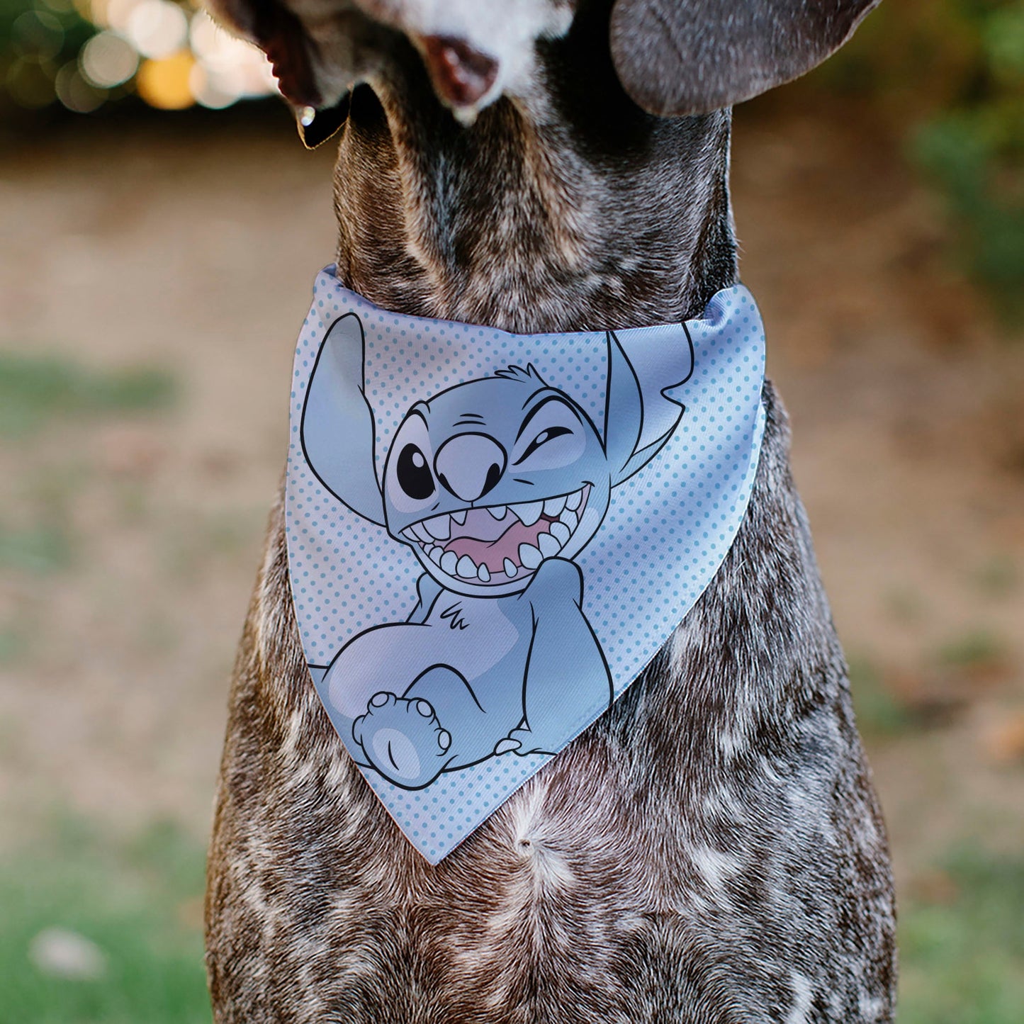 Pet Bandana - Lilo & Stitch Stitch Winking Pose and Polka Dots White/Blue