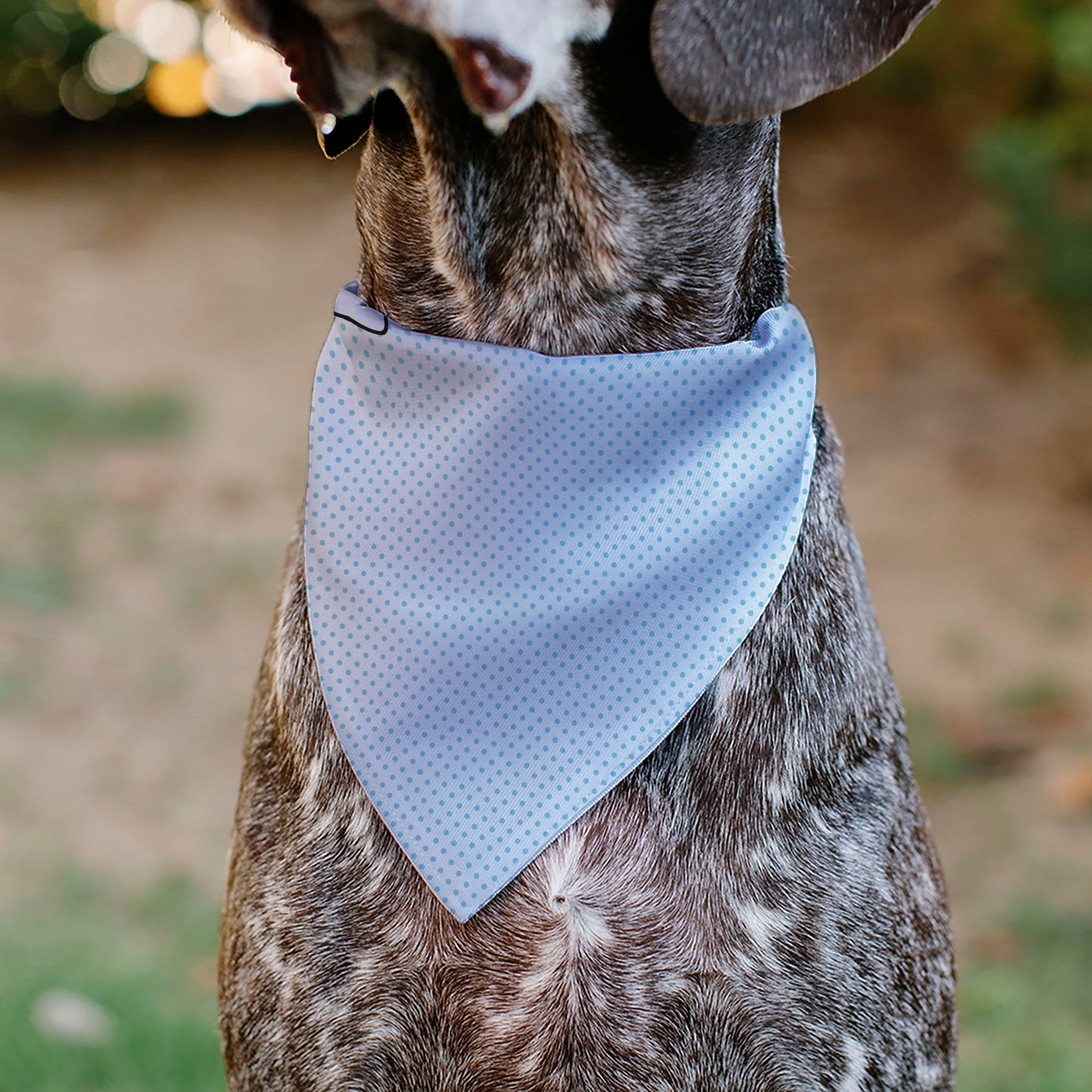 Pet Bandana - Lilo & Stitch Stitch Winking Pose and Polka Dots White/Blue