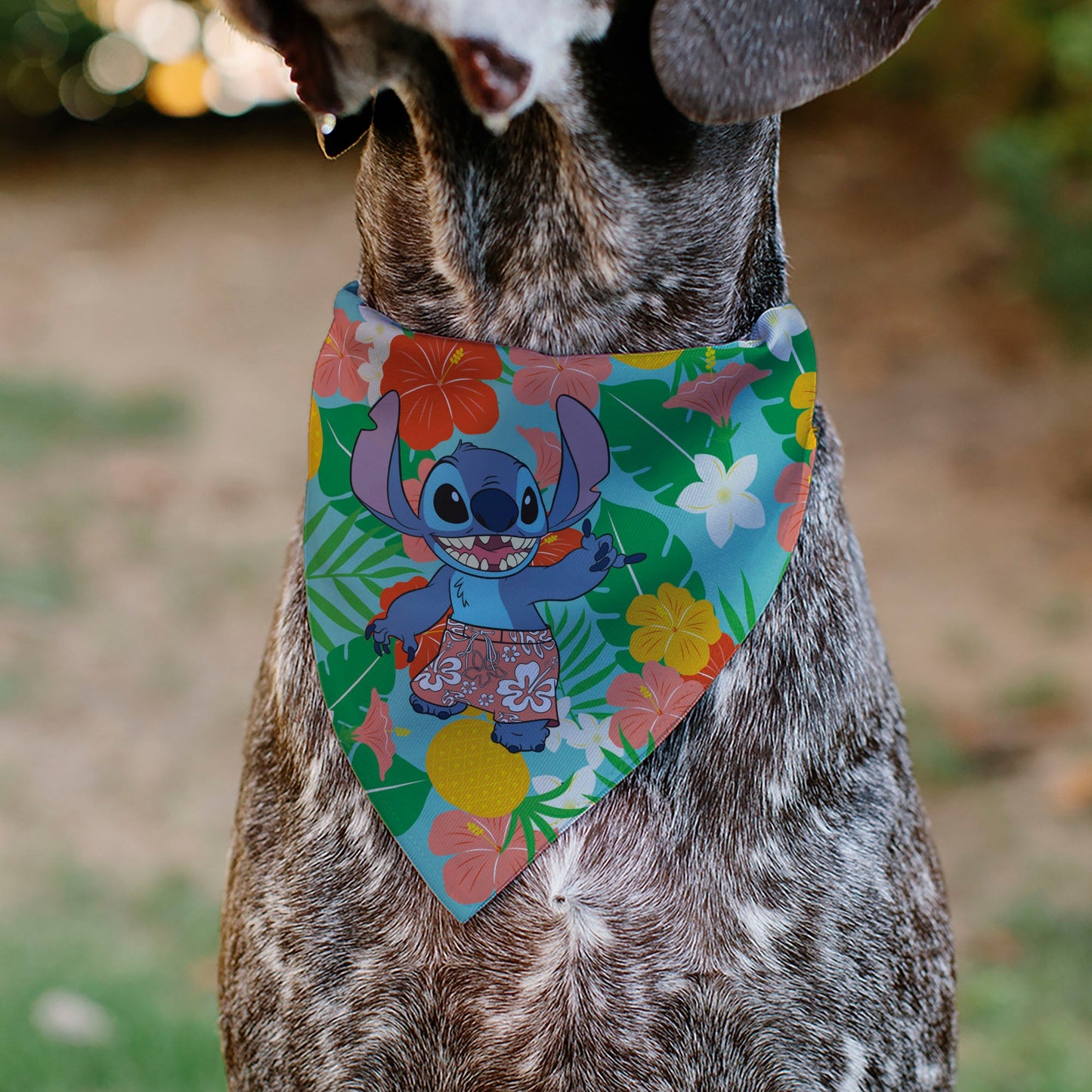 Pet Bandana - Lilo & Stitch Stitch Hang Loose Pose Floral Collage Blue