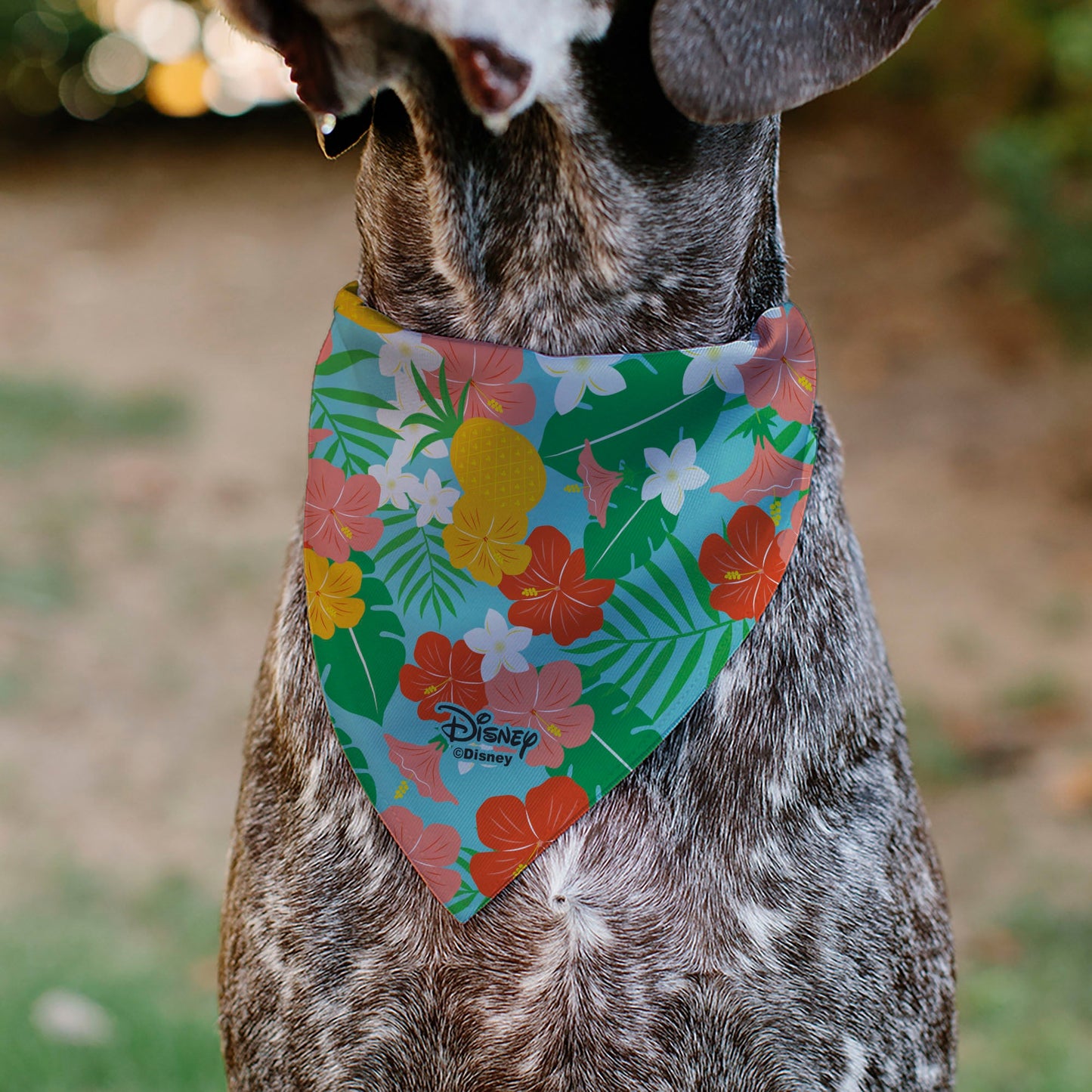 Pet Bandana - Lilo & Stitch Stitch Hang Loose Pose Floral Collage Blue