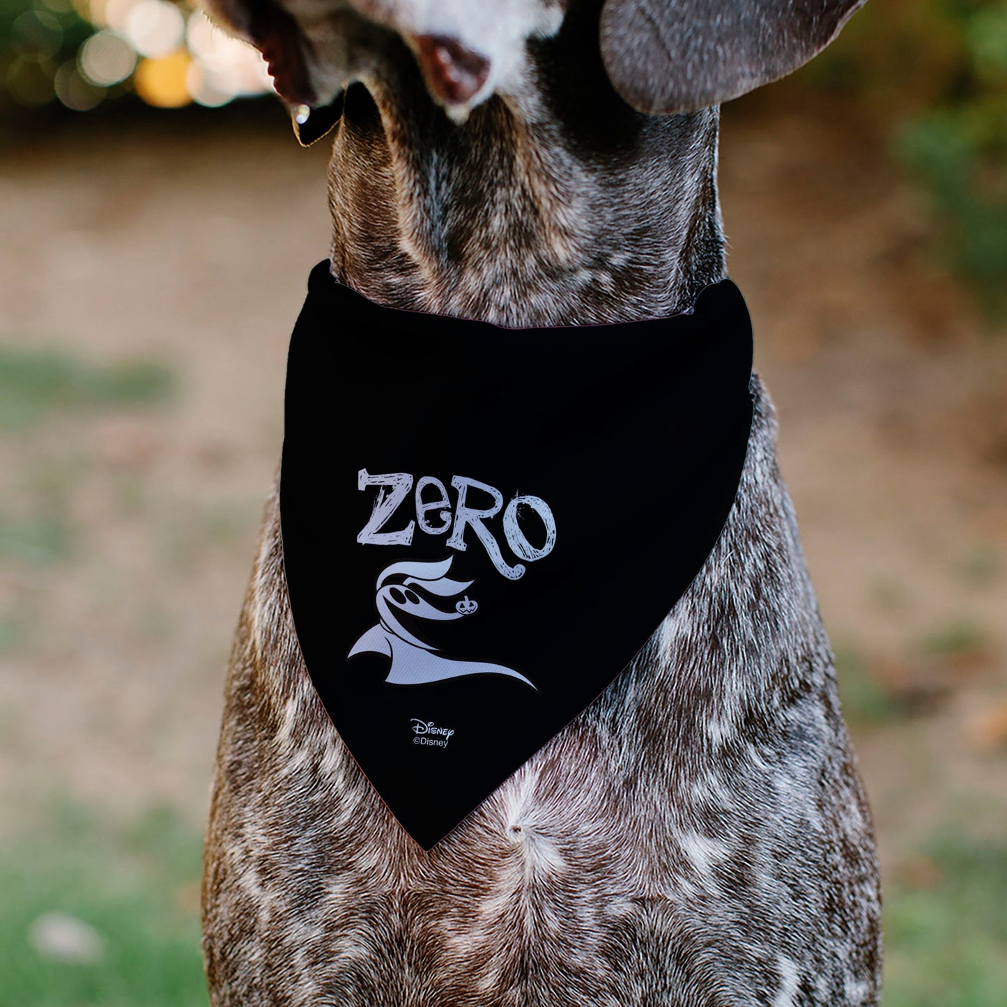 Pet Bandana - Nightmare Before Christmas ZERO Smiling Pose Black/White