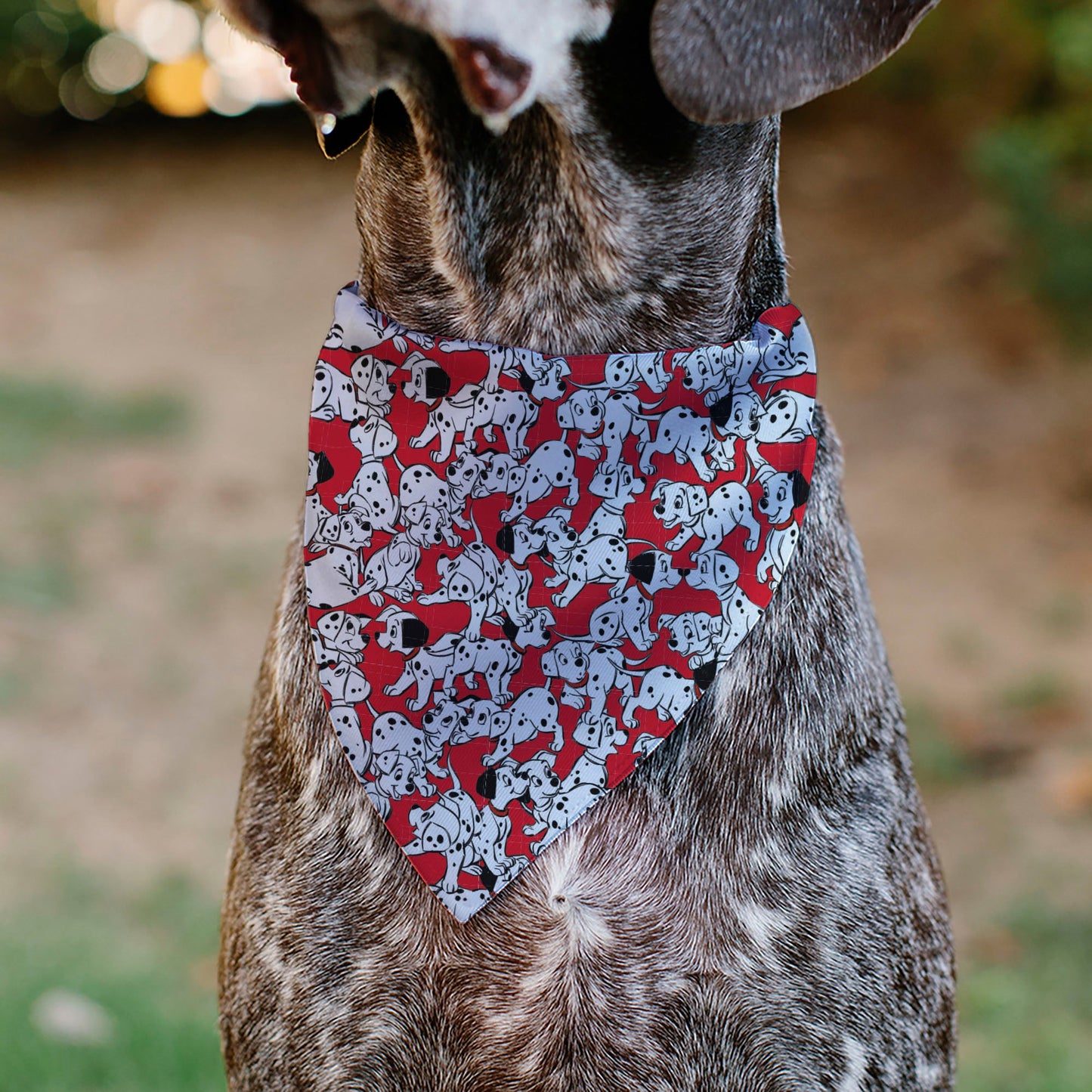 Pet Bandana - 101 Dalmatians Puppies Scattered Red