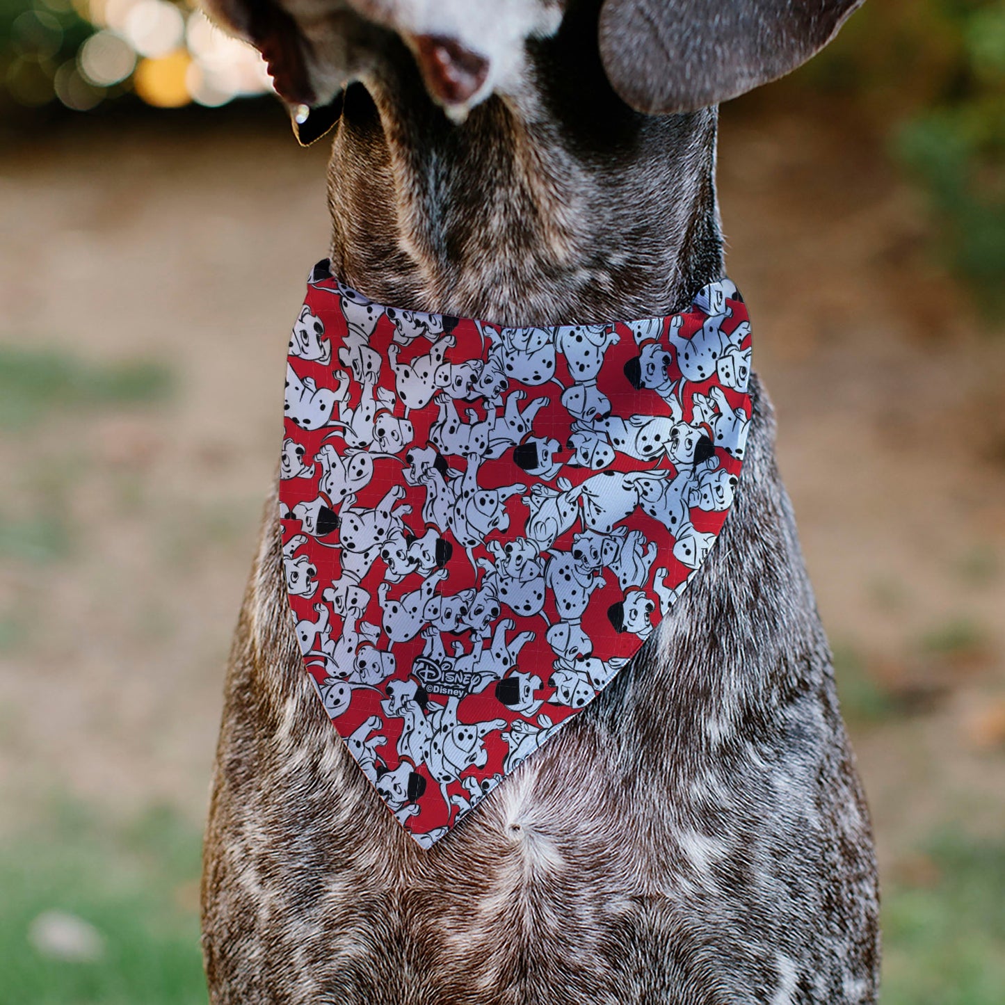 Pet Bandana - 101 Dalmatians Puppies Scattered Red