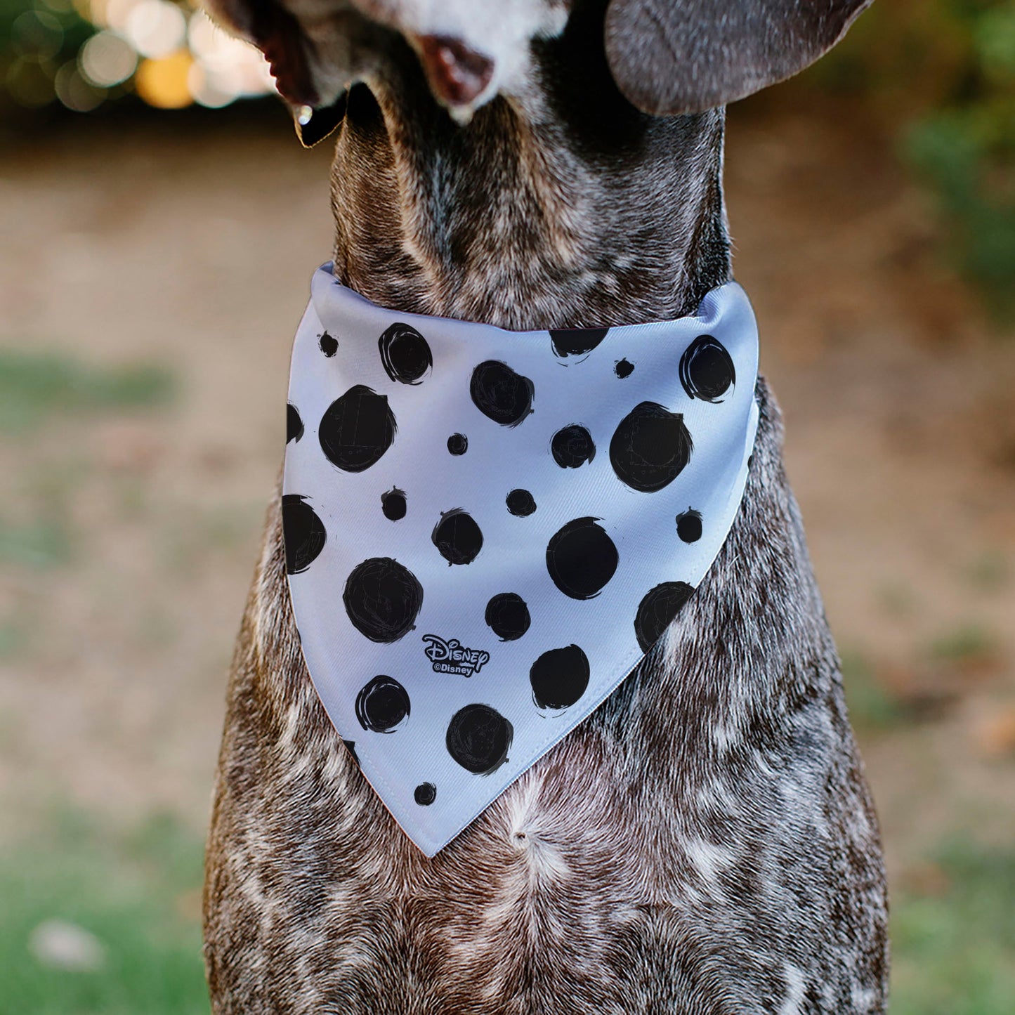 Pet Bandana - 101 Dalmatians Cruella's Spots White/Black