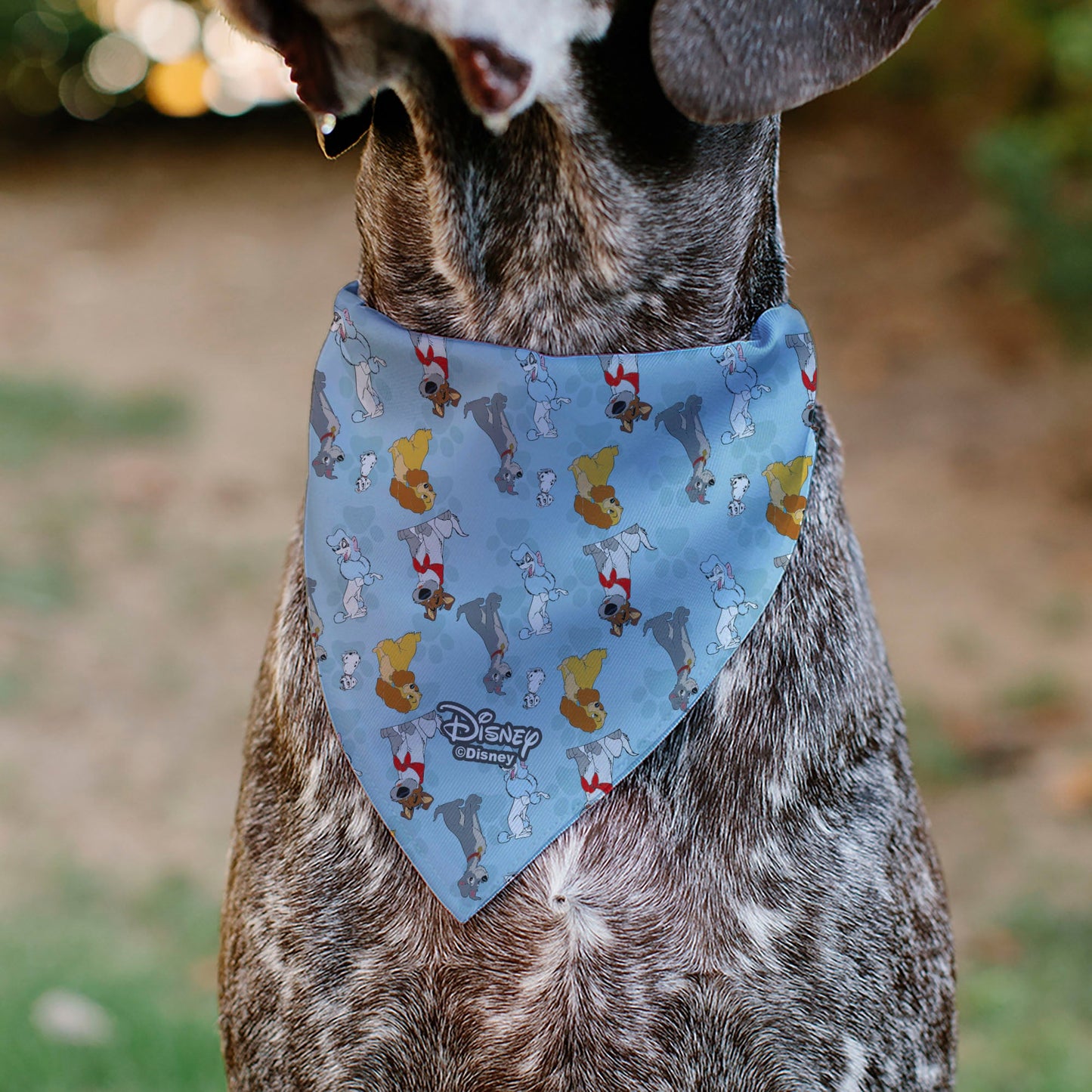 Pet Bandana - Disney Dogs 5-Dog Group Collage/Paws Blues