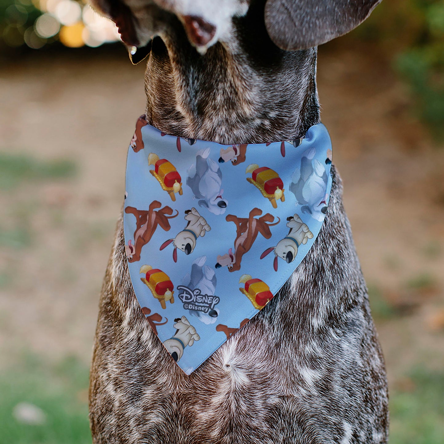 Pet Bandana - Disney Princess Dogs 4-Dog Group Collage/Paws Blues