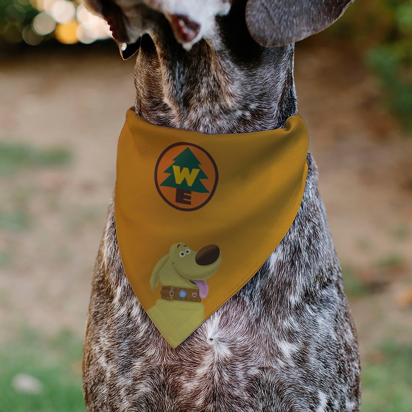 Pet Bandana - Up Dug Pose and Wilderness Explorer Badge Orange