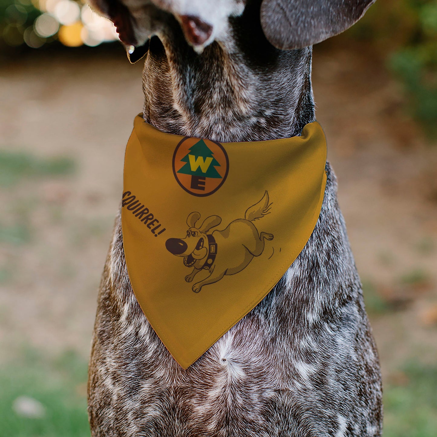 Pet Bandana - Up Dug SQUIRREL Pose and Wilderness Explorer Badge Orange