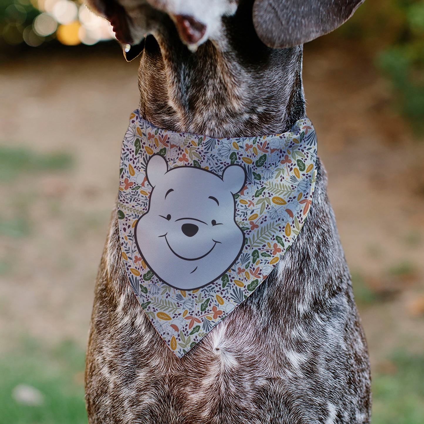 Pet Bandana - Winnie the Pooh Smiling Face/Foliage Collage Beige/Green/Orange/Yellow