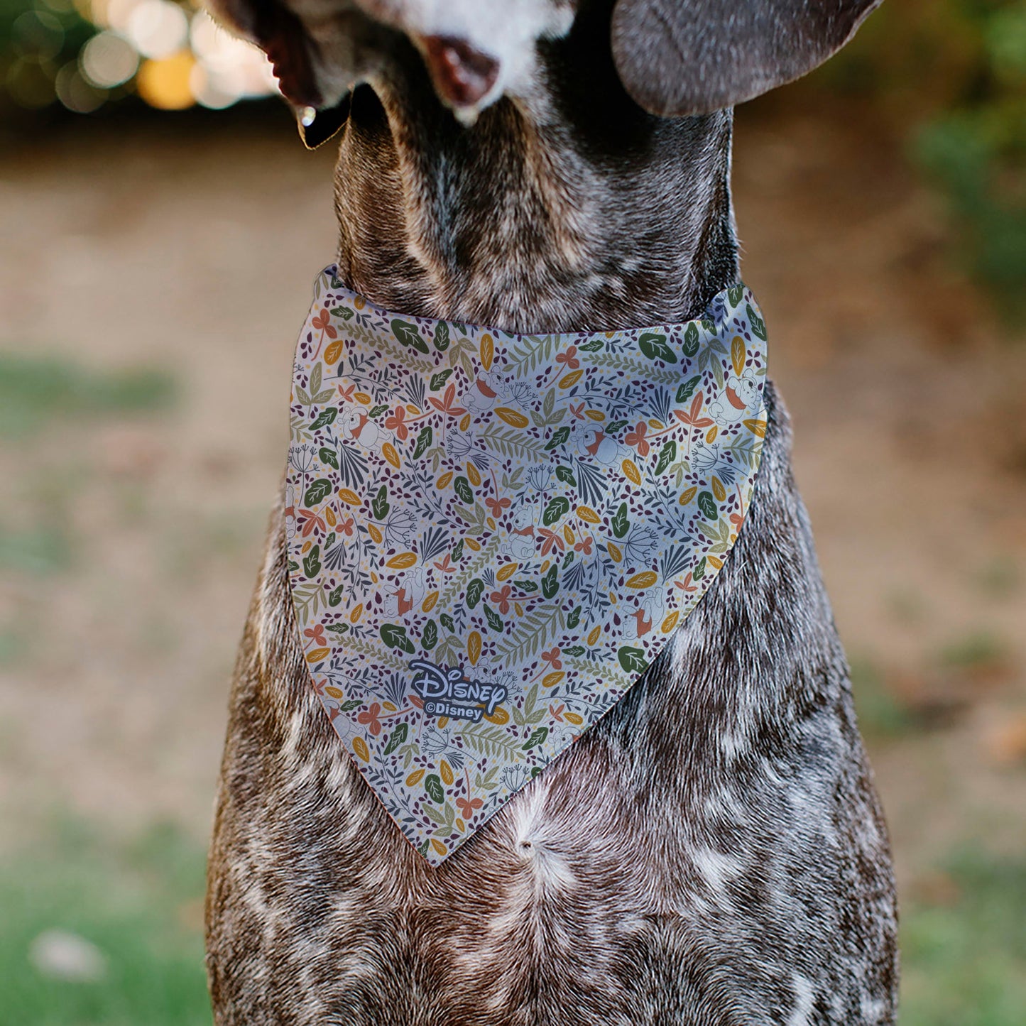 Pet Bandana - Winnie the Pooh Smiling Face/Foliage Collage Beige/Green/Orange/Yellow