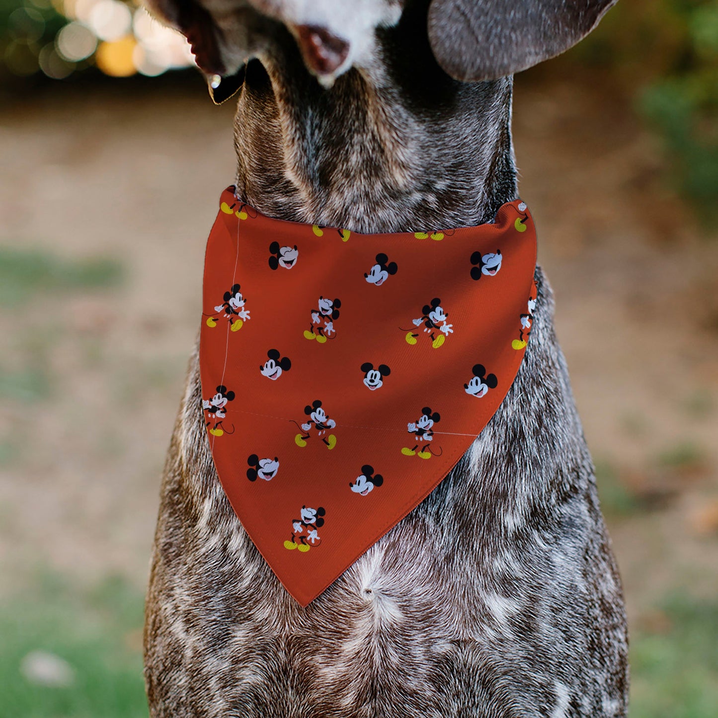 Pet Bandana - Mickey Mouse Poses and Expressions Scattered Red