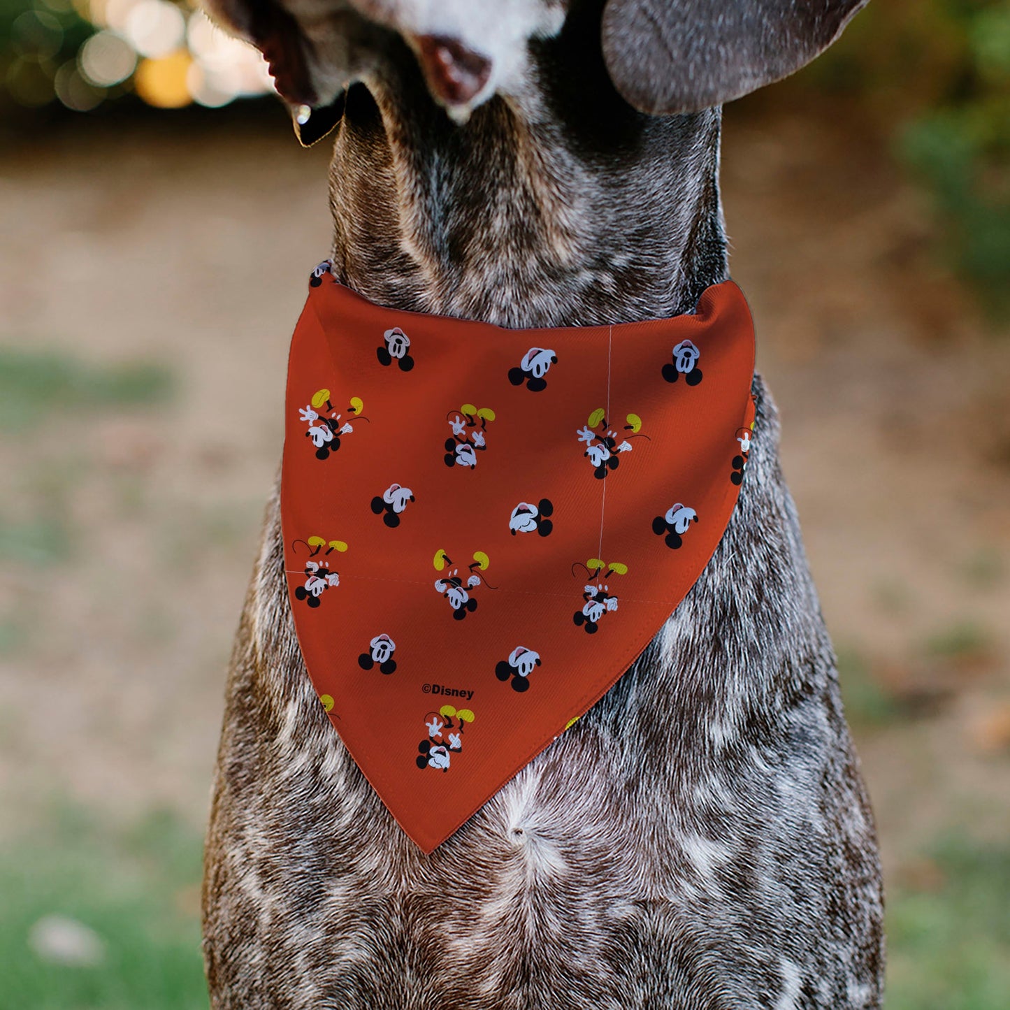 Pet Bandana - Mickey Mouse Poses and Expressions Scattered Red