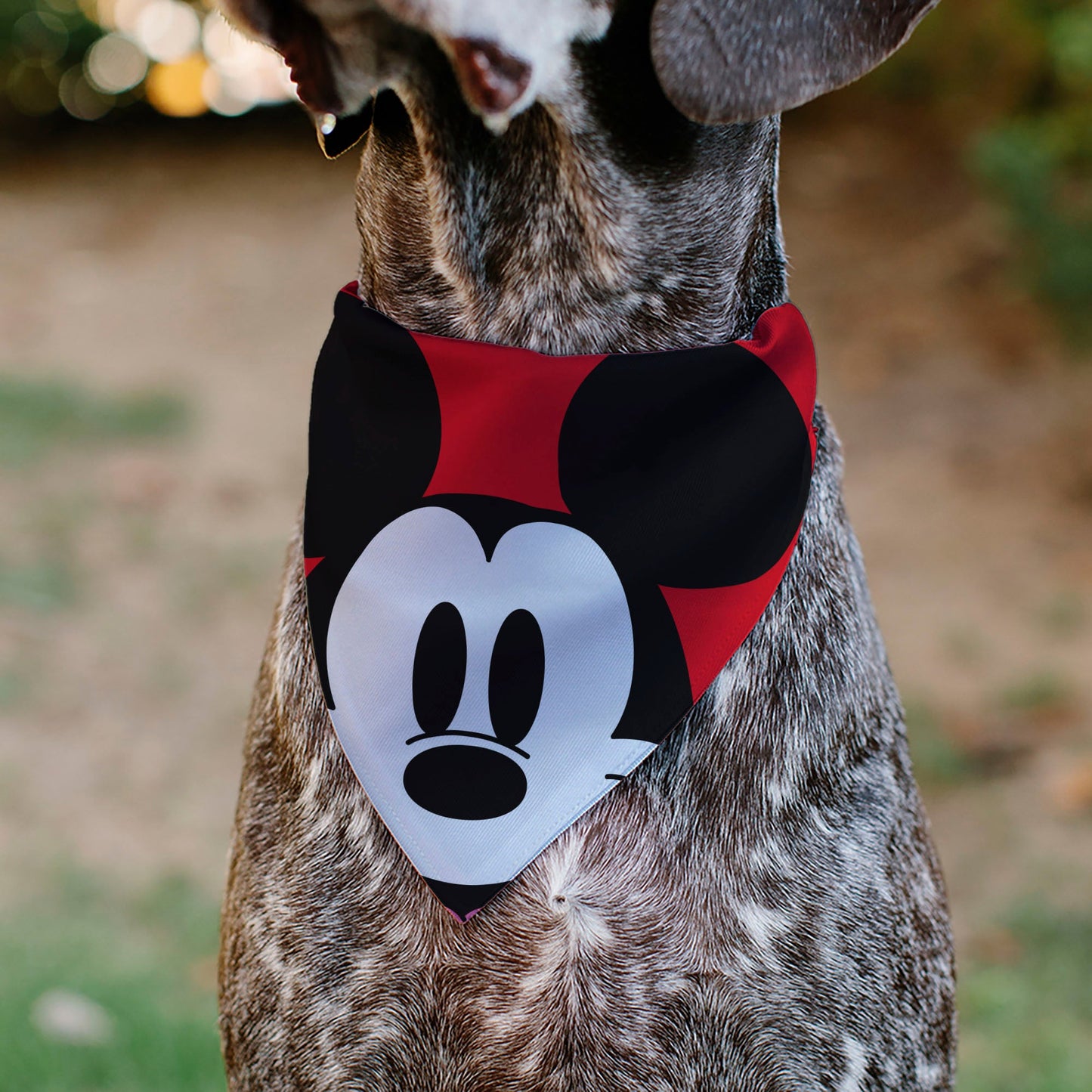 Pet Bandana - Mickey Mouse Face Character Close-Up Red