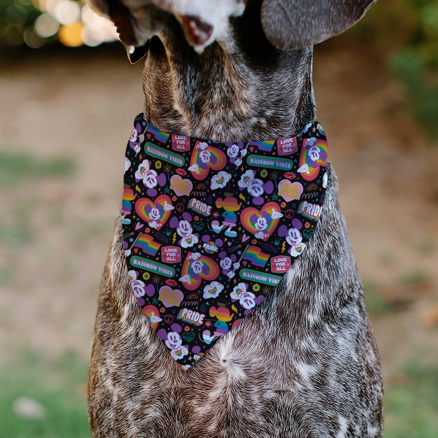 Pet Bandana - Mickey Mouse Pride Poses Rainbow Collage Black