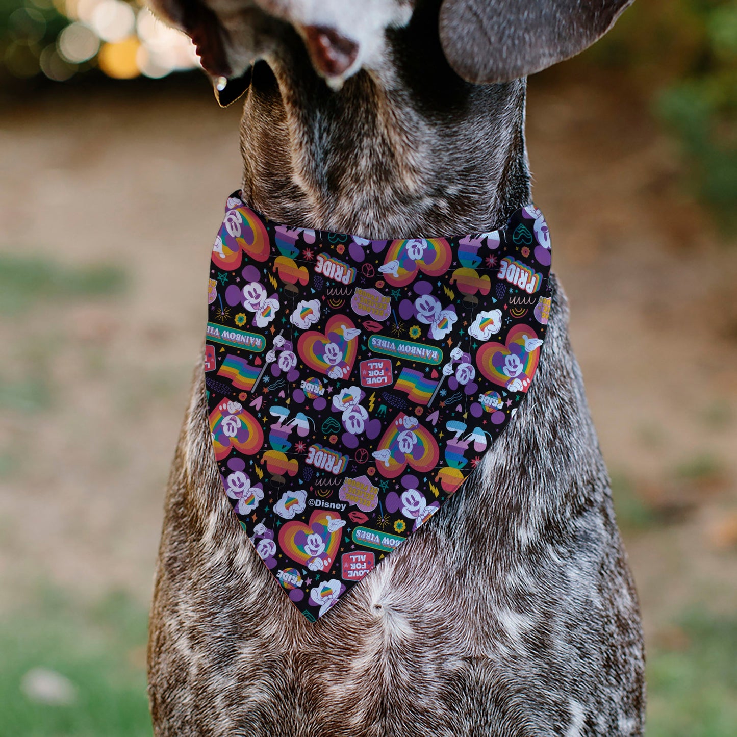 Pet Bandana - Mickey Mouse Pride Poses Rainbow Collage Black