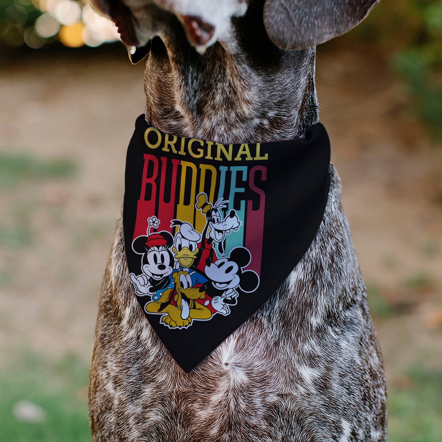 Pet Bandana - Disney Fab Five ORIGINAL BUDDIES Group Pose Black