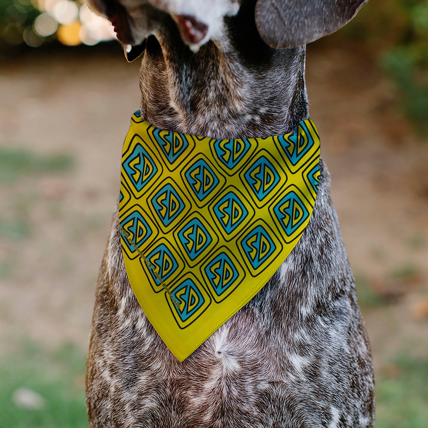 Pet Bandana - Scooby Doo Logo Centered and Collage Blue/Yellow