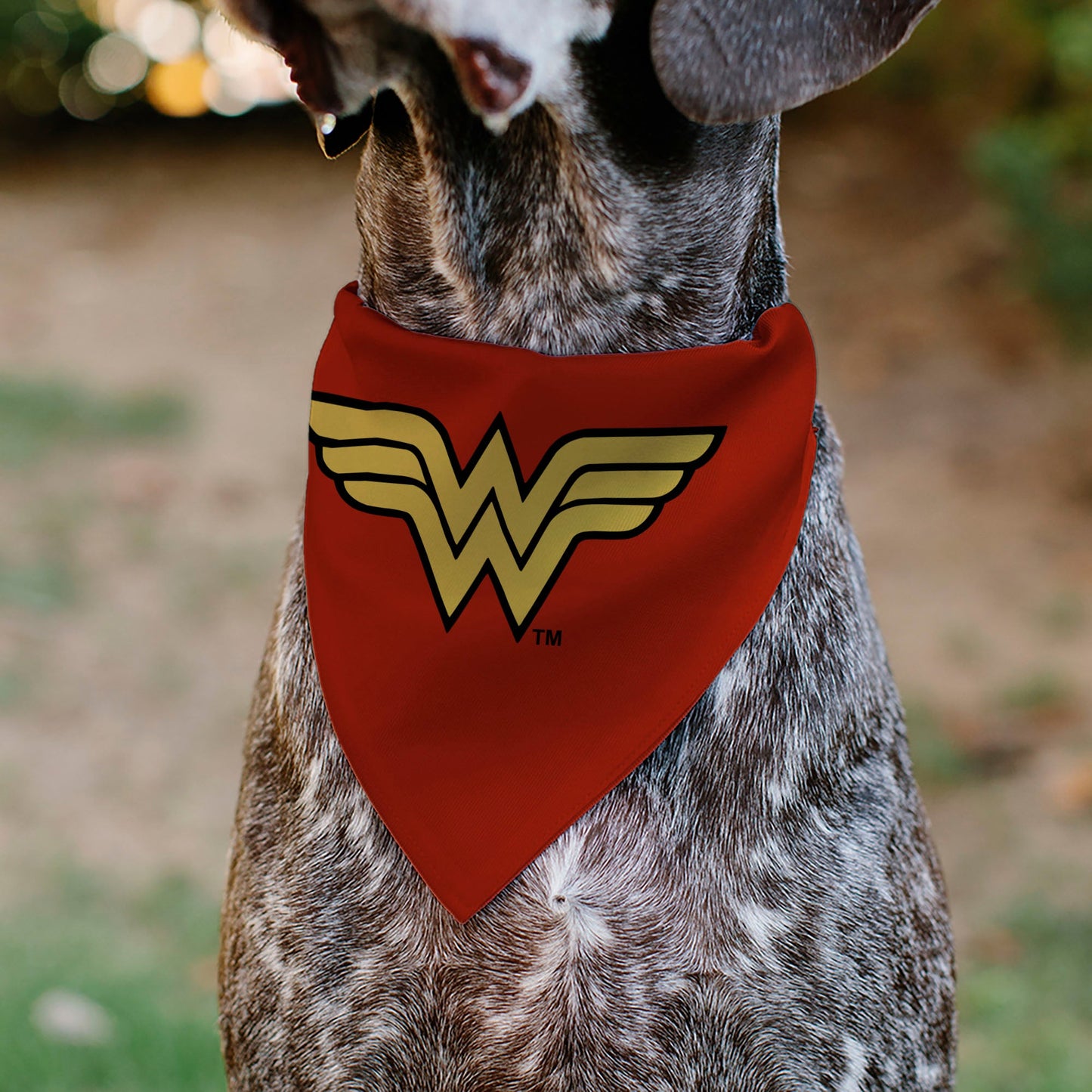 Pet Bandana - Wonder Woman WW Logo Red/Black/Yellow