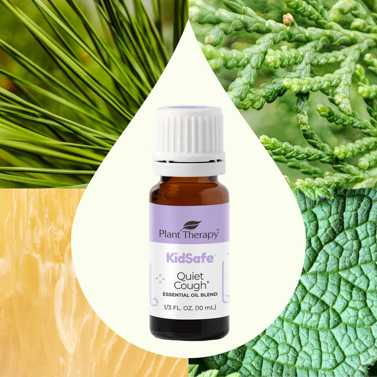 Quiet Cough™ KidSafe Essential Oil Blend