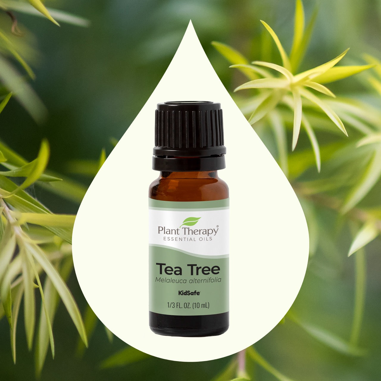 Tea Tree Essential Oil