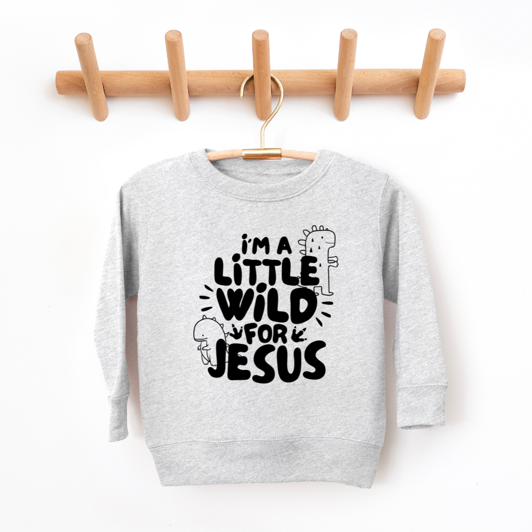 Wild For Jesus Youth & Toddler Sweatshirt