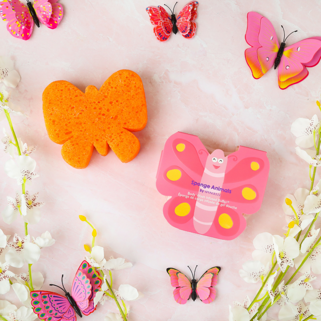 Butterfly | Sponge Animals