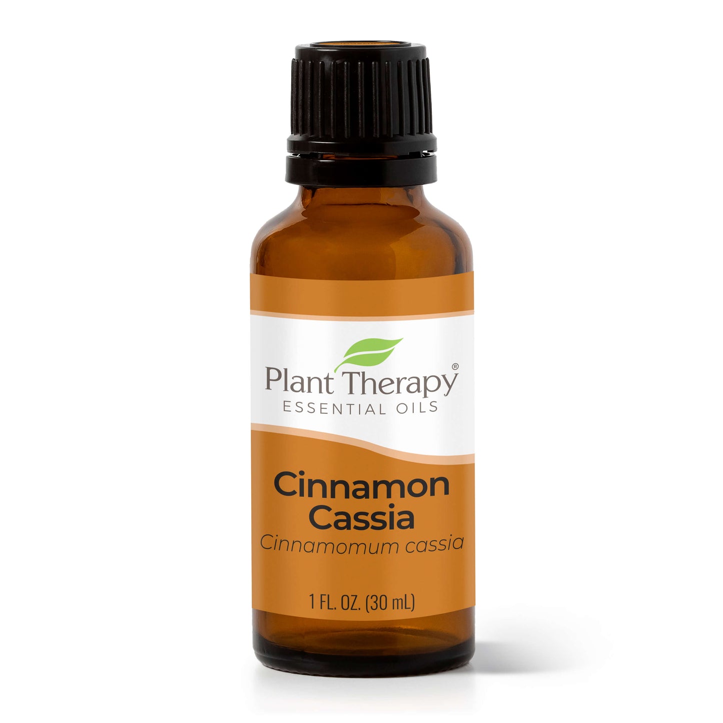 Cinnamon Cassia Essential Oil