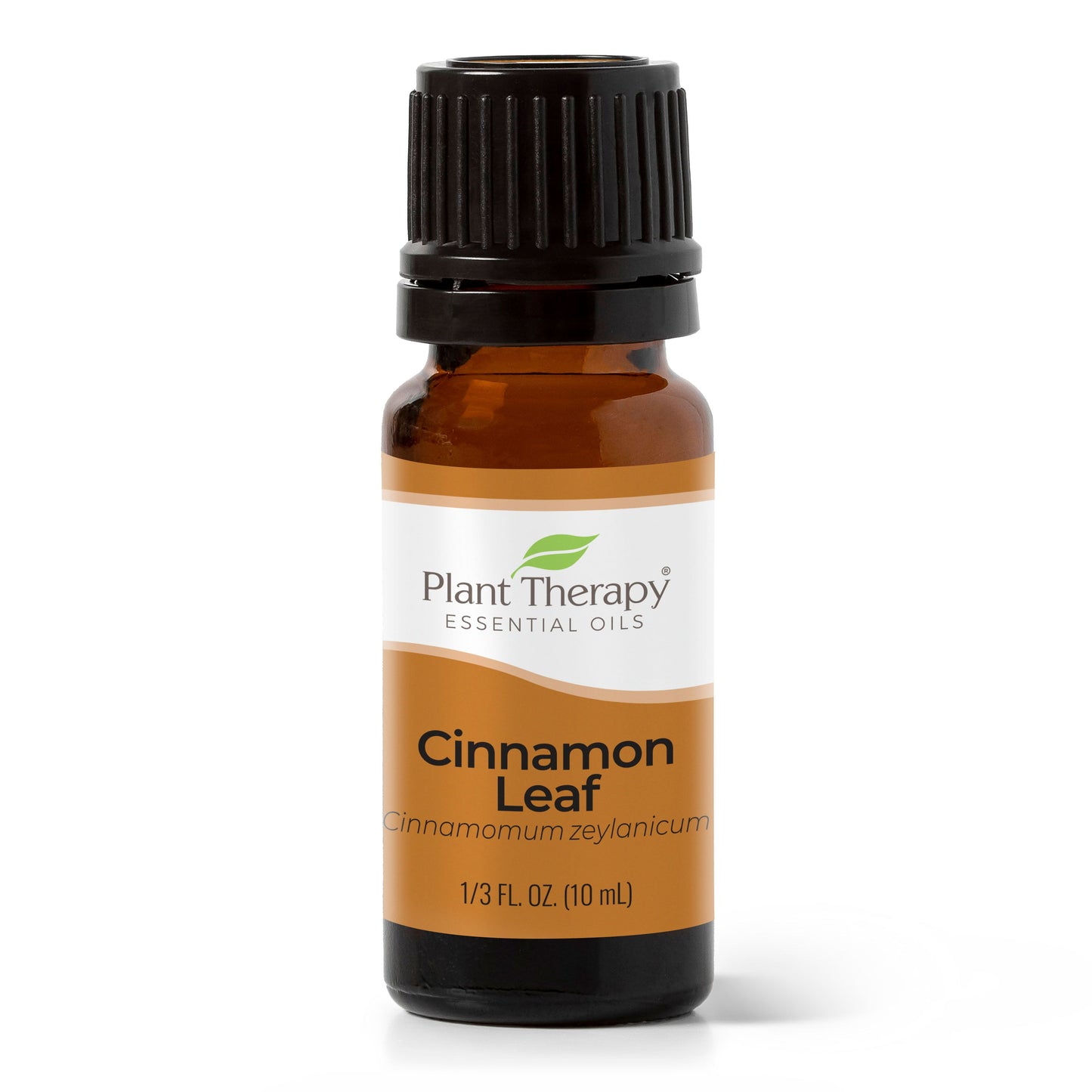 Cinnamon Leaf Essential Oil