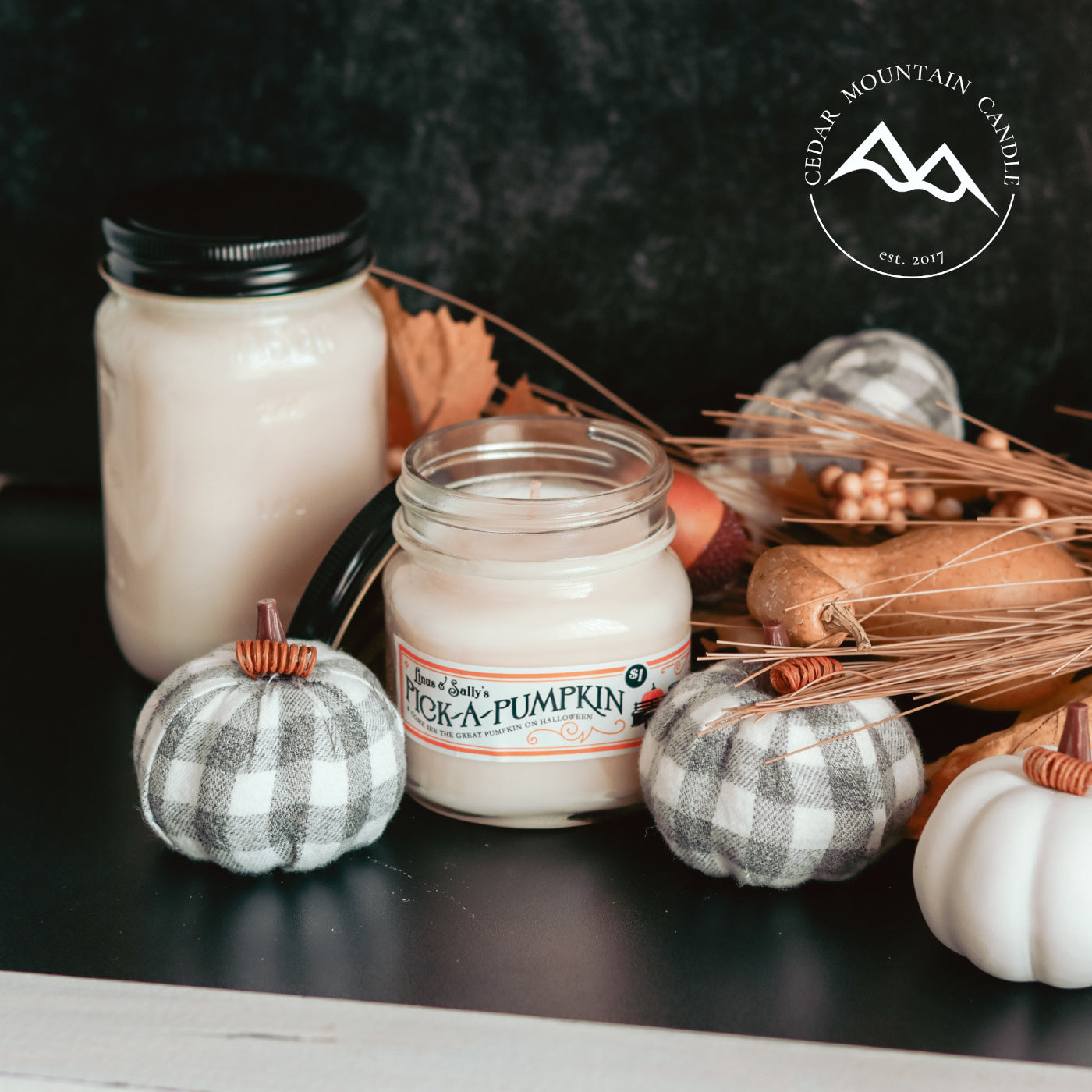 Pumpkin Patch Mason Jar Candle - Fall Scents