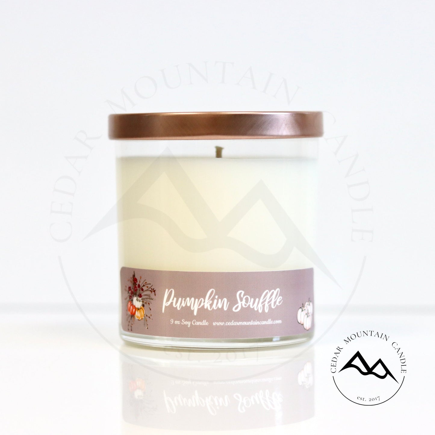 Fall Mauve Pumpkin 9 oz Jar Soy Candle