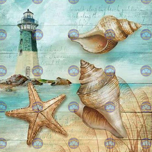 Lighthouse Sea Shells