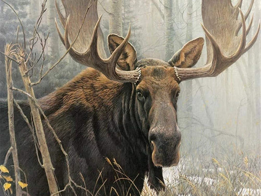 Majestic Brown Moose