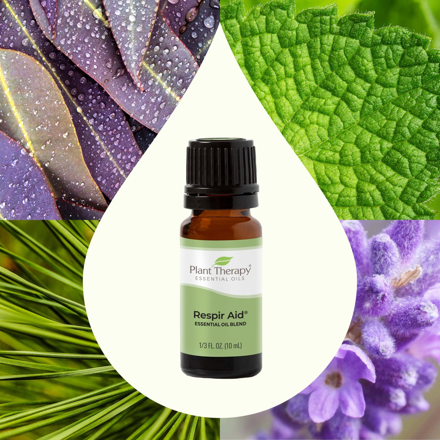 Respir Aid Essential Oil Blend