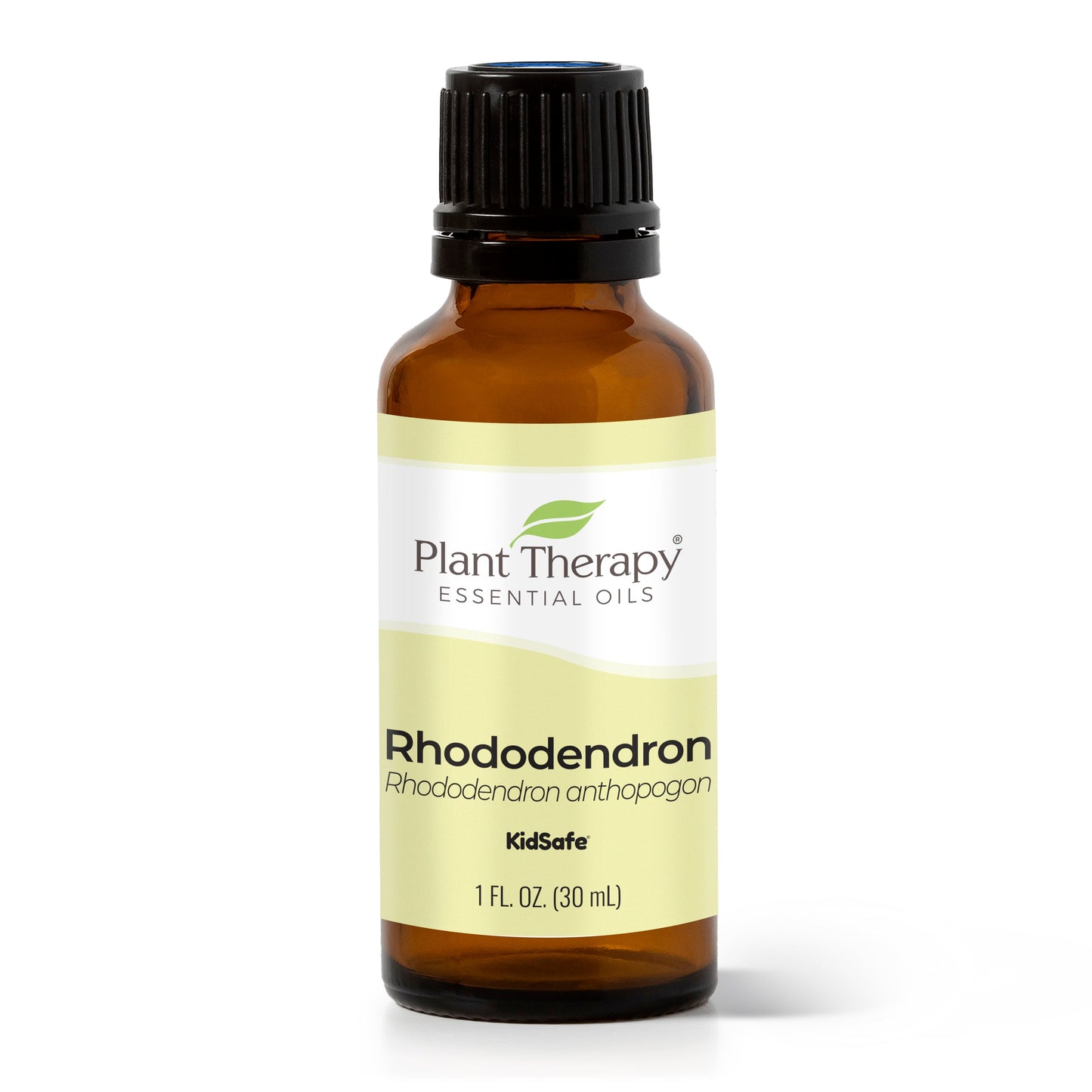 Rhododendron Essential Oil