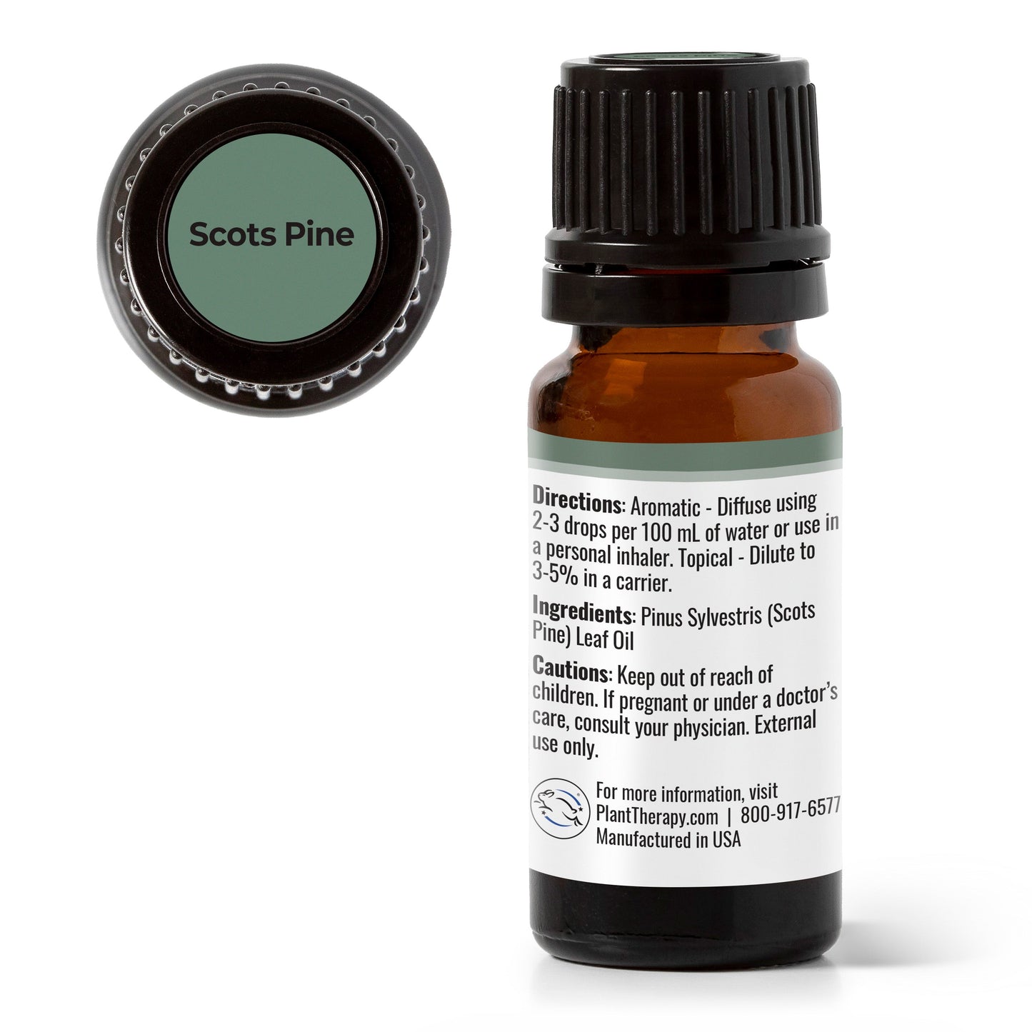 Scots Pine Essential Oil