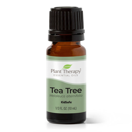 Tea Tree Essential Oil