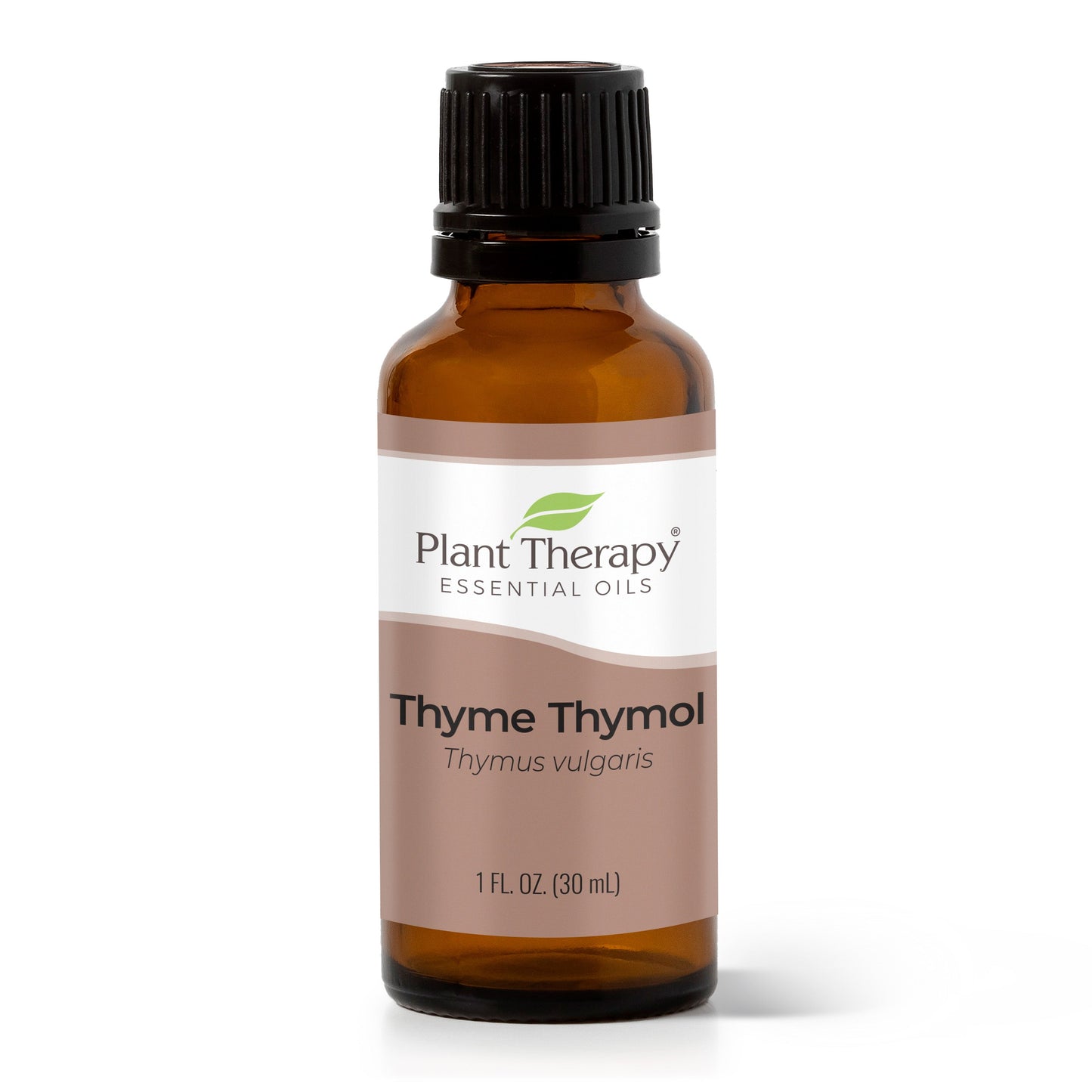 Thyme Thymol Essential Oil