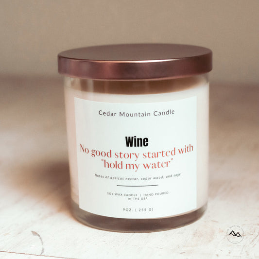 No Good Story Started with "Hold My Water"  - 9 oz Soy Candle